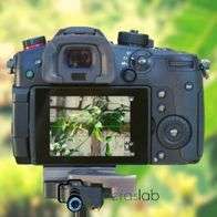 Why Are Mirrorless Cameras Becoming More Popular